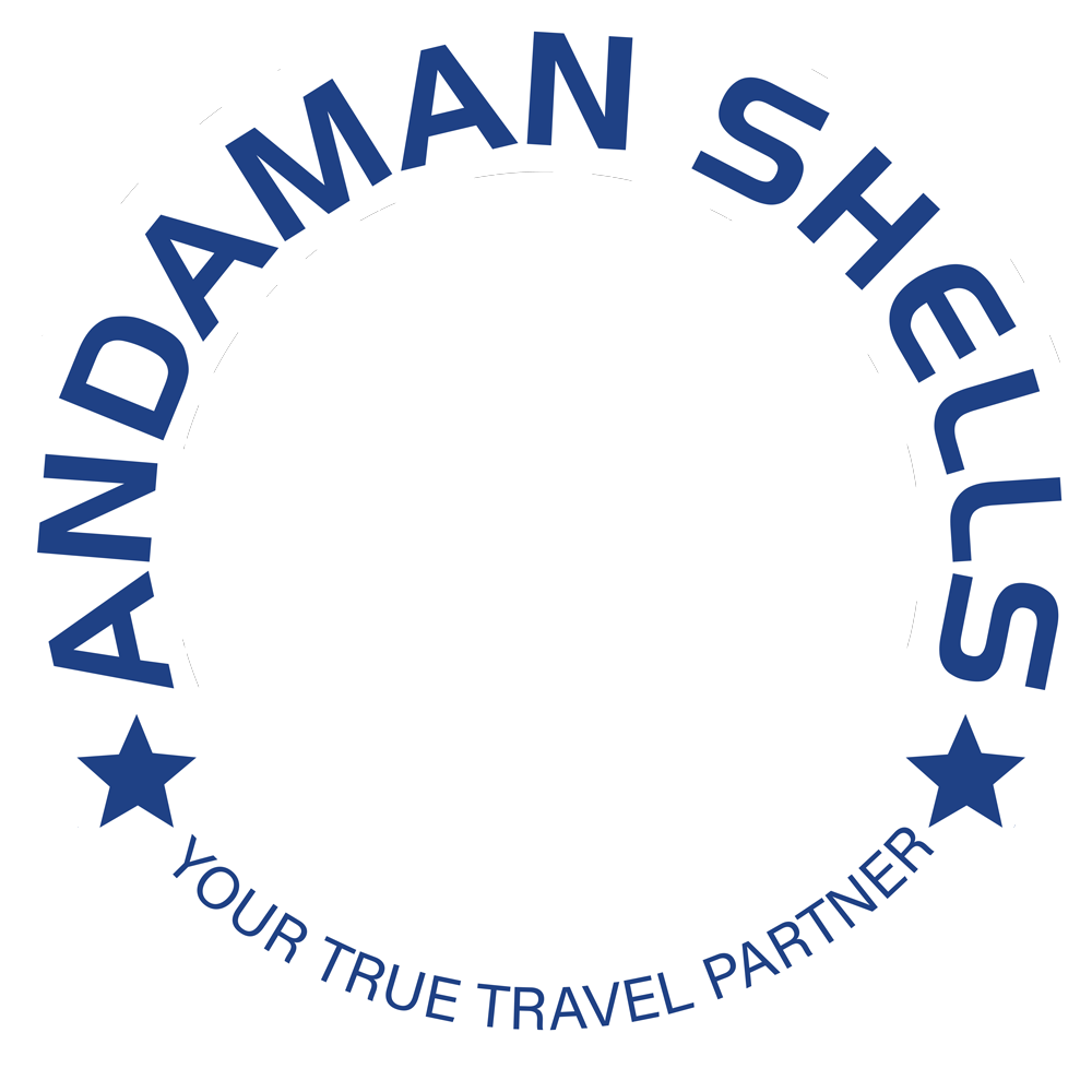 Andaman Shells